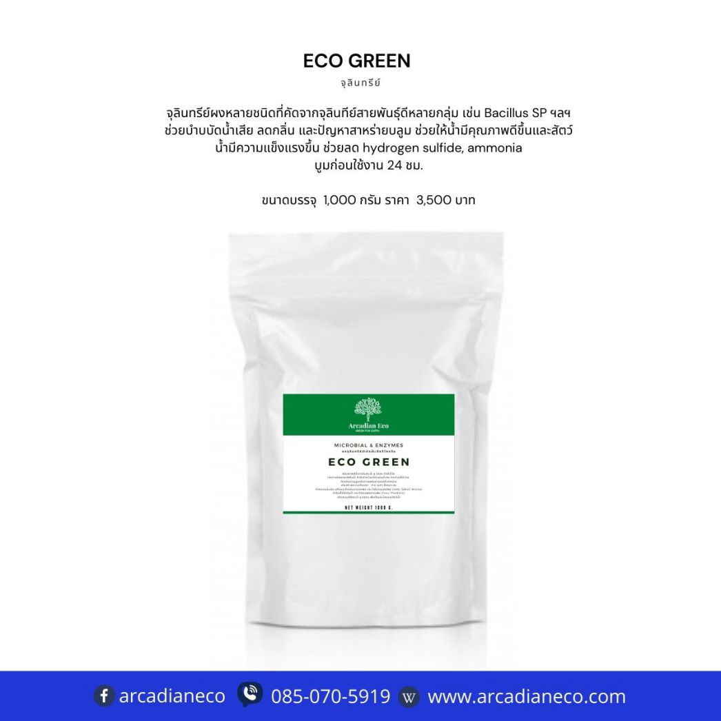 จุลินทรีย์บำบัดน้ำเสียแก้สาหร่ายแกมน้ำเงิน Eco Green