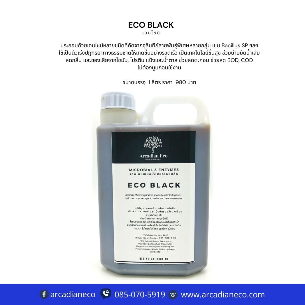 เอนไซม์ Eco Black บำบัดน้ำเสีย