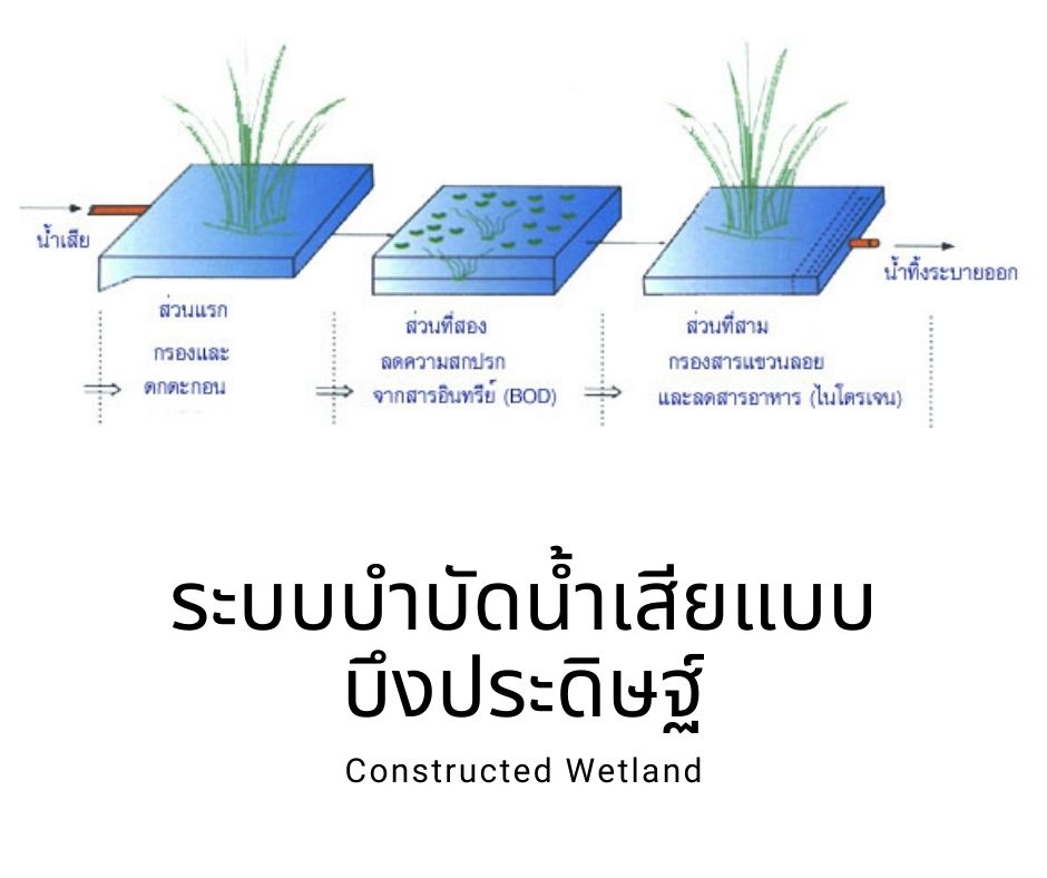 การบำบัดน้ำเสีย ระบบบ่อปรับเสถียร (Stabilization Pond)